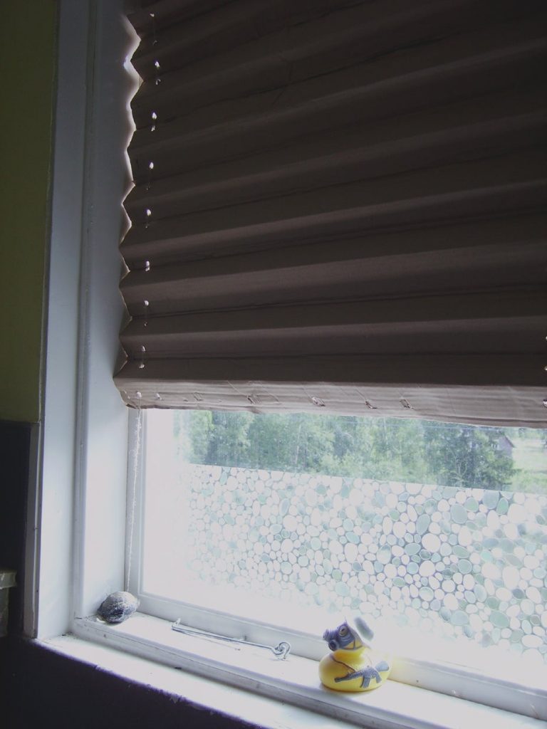 window blinds